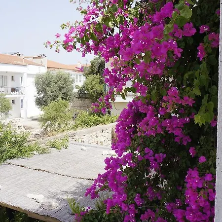 Oda ve Kahvaltı Aladam Alaçatı