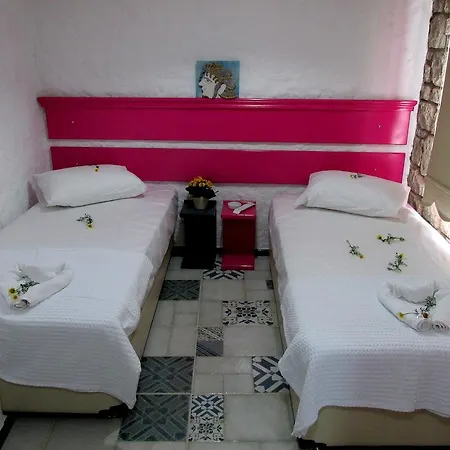 Bed & Breakfast Aladam *
